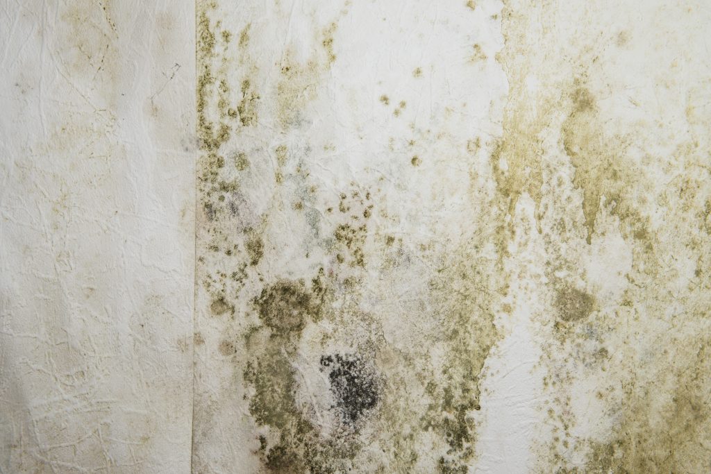 Dans un espace intérieur, un mur blanc couvert de taches d’humidité