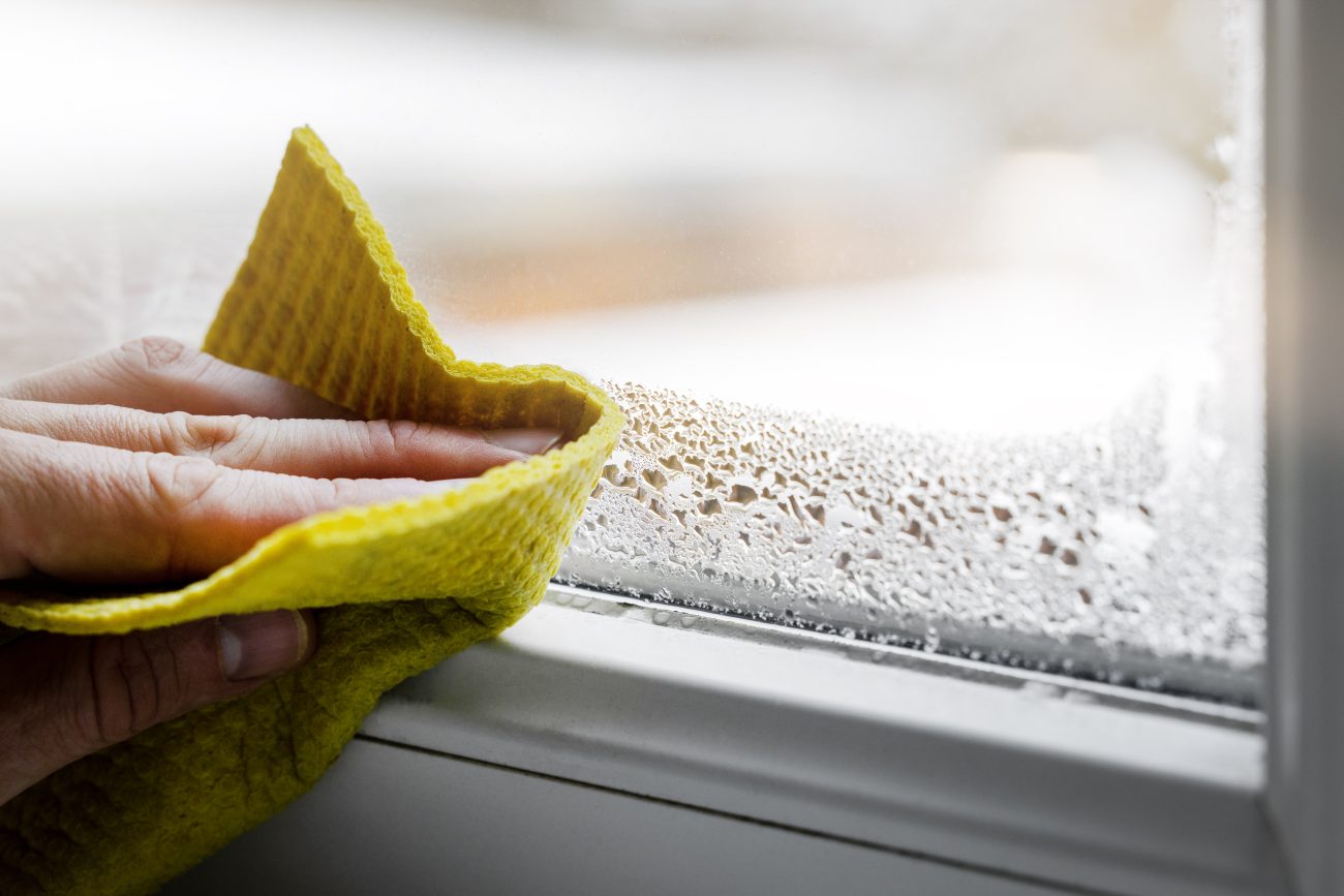 Condensation dans la fenêtre d’une maison