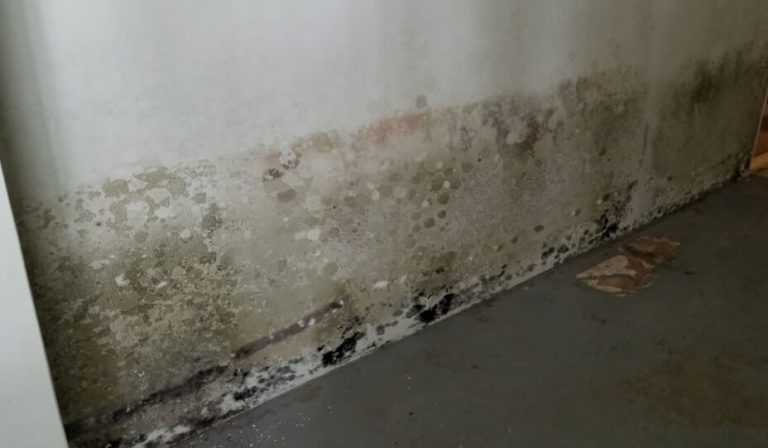 Basement Humidity - Potential Damages & How to Get Rid of it