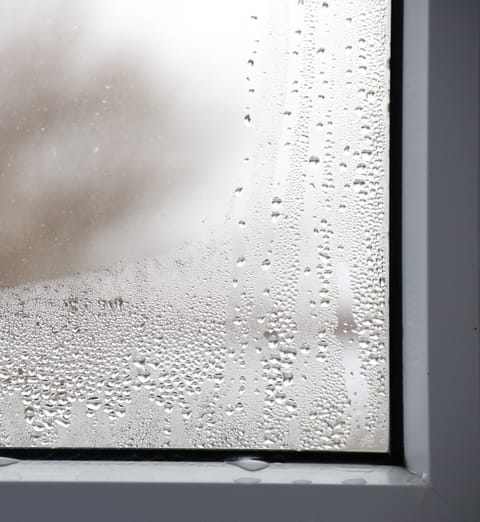 Moisissure sur l'encadrement d'une fenêtre bois : 5 solutions