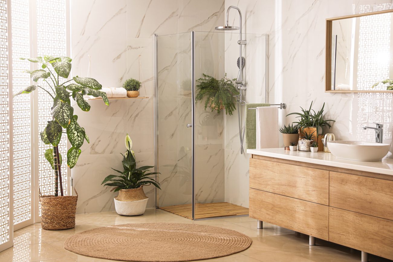 Bathroom featuring a corner glass shower, wooden vanity topped with a white basin, several small succulents on the counter, fern in the shower, potted tree, and white lattice screen