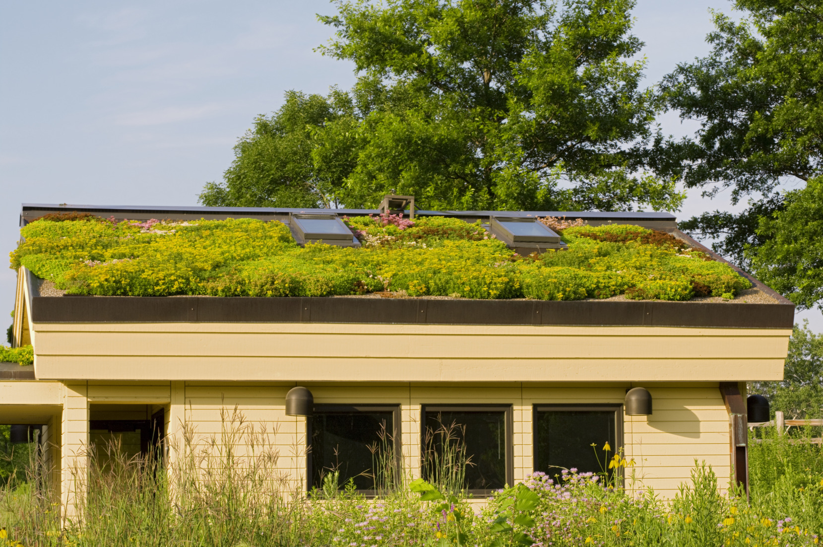 Certified Living Buildings – Eco-Sense Home « Inhabitat – Green