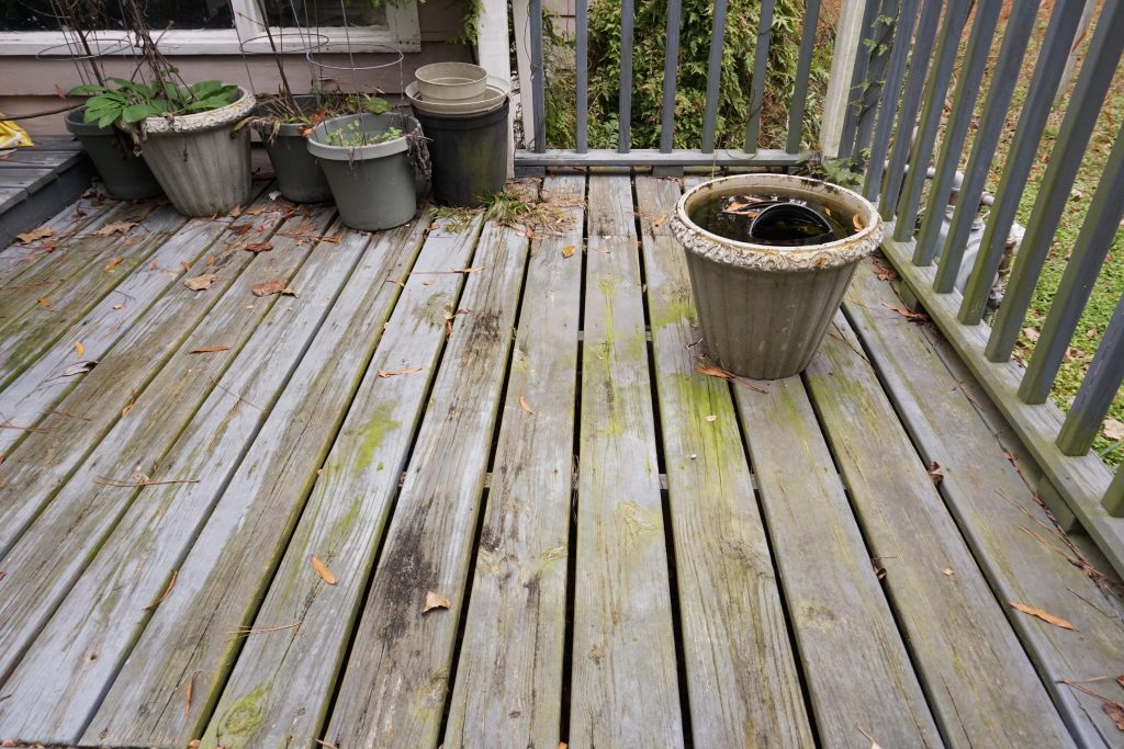 Old wooden deck with empty plant pots and planks covered with moss 