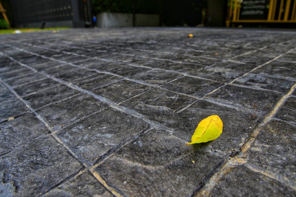 Terrasse en béton ciré gris avec une feuille d’arbre jaune